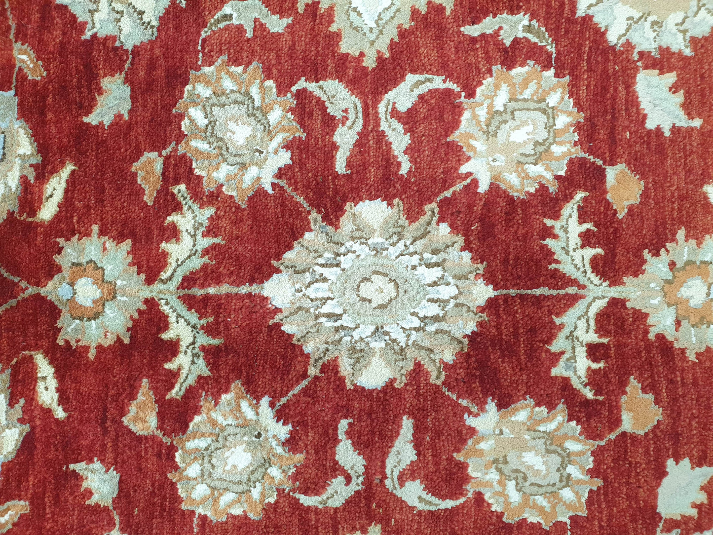 Ziegler Rug (Wool & Silk) - 300 x 198cm