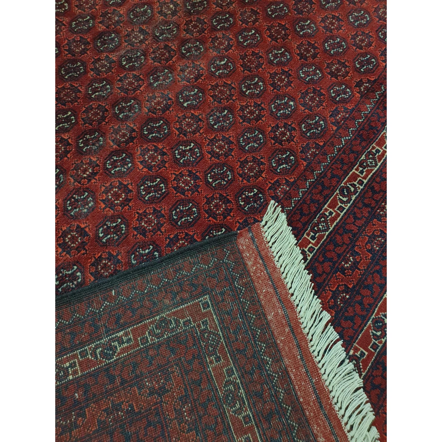 Roshnai Rug - 286 x 202cm