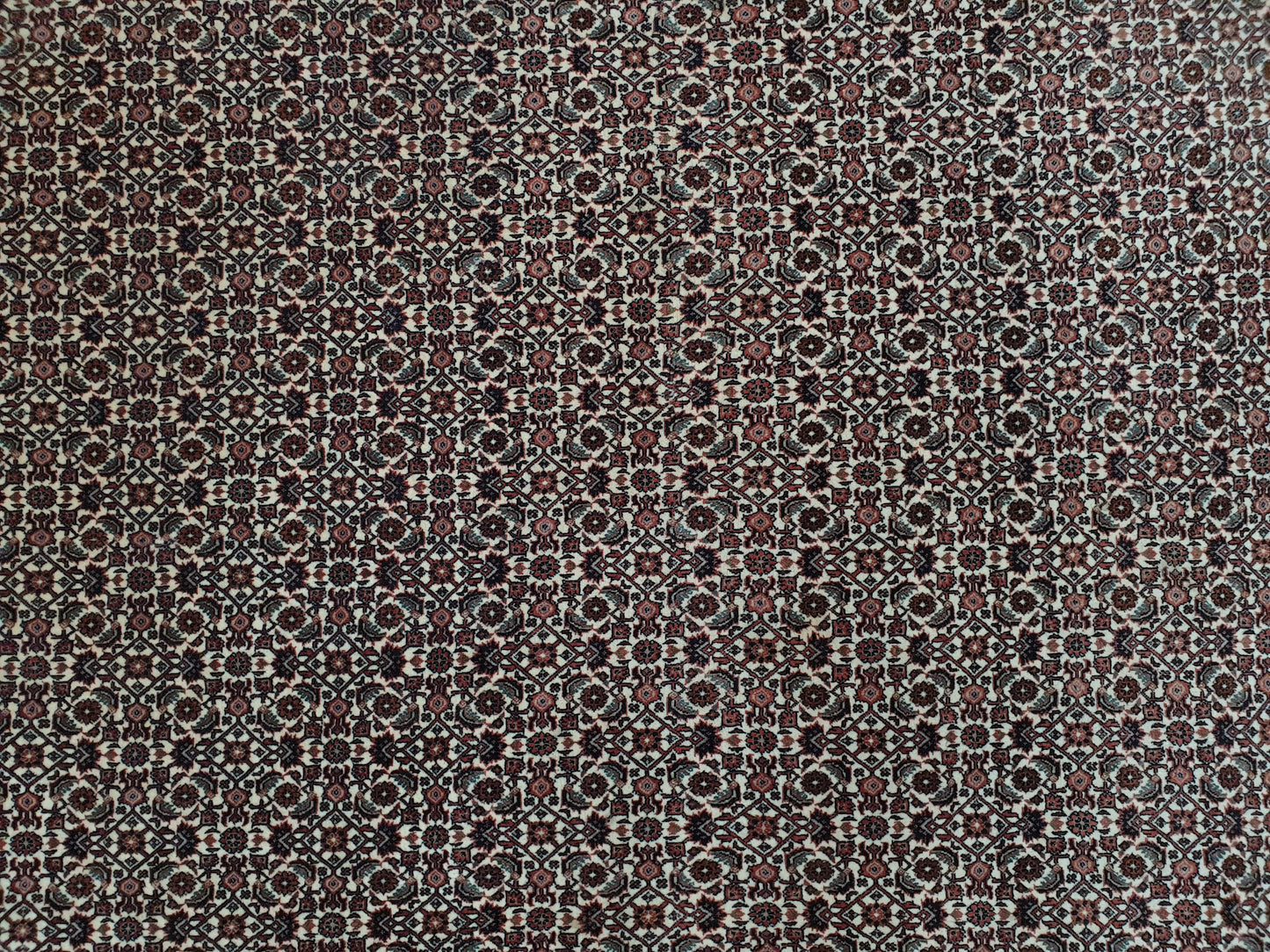 Persian Bidjar Rug - 257 x 250cm