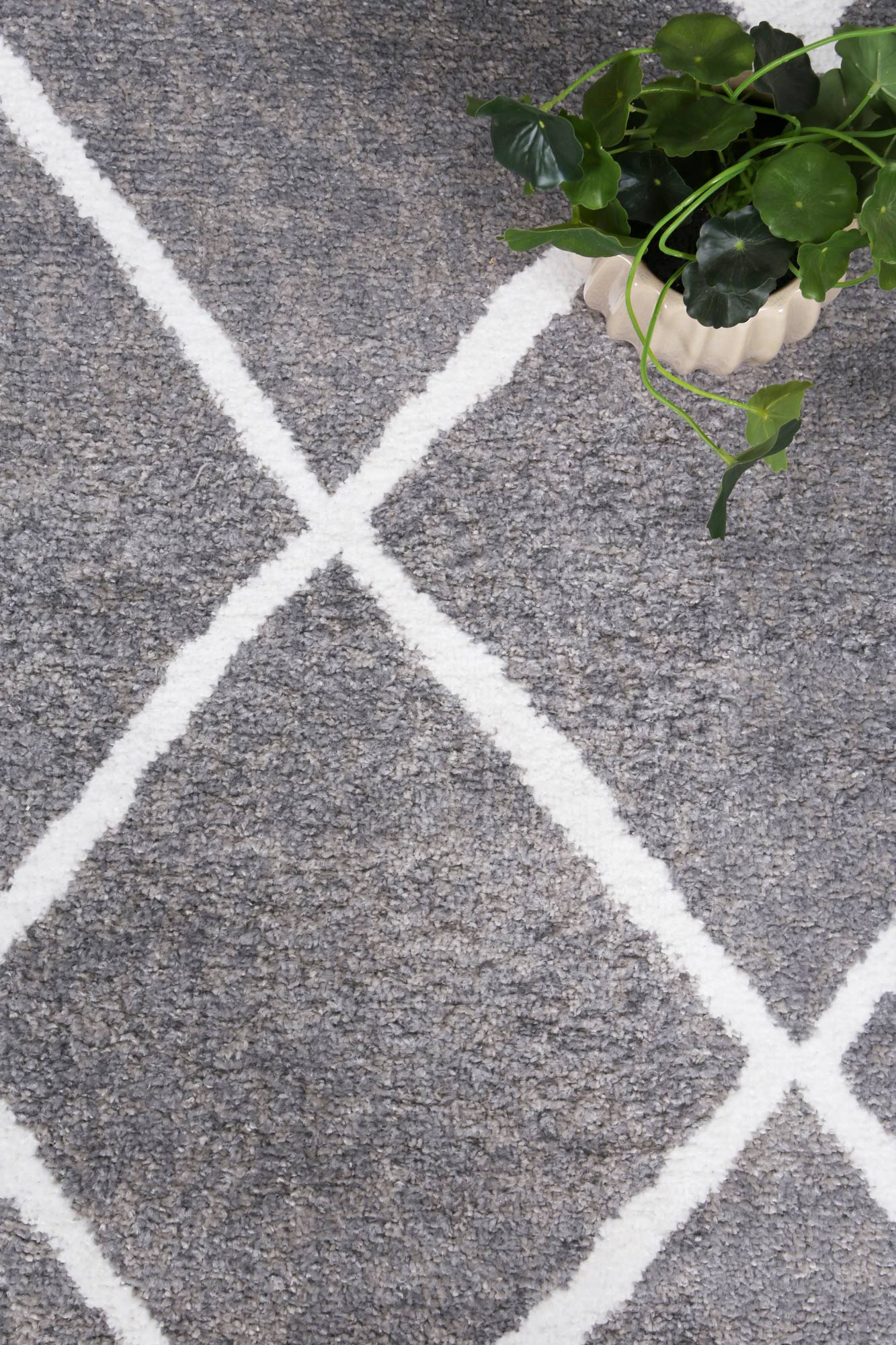 Kimberley 1 Trellis Grey Rug