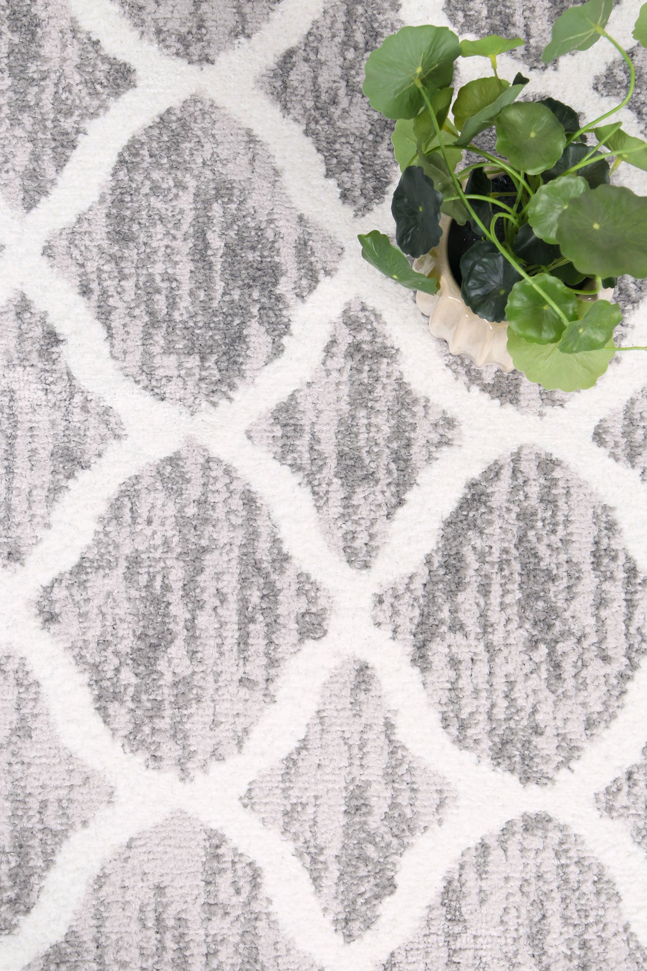 Kimberley 5 Repeat Silver Rug