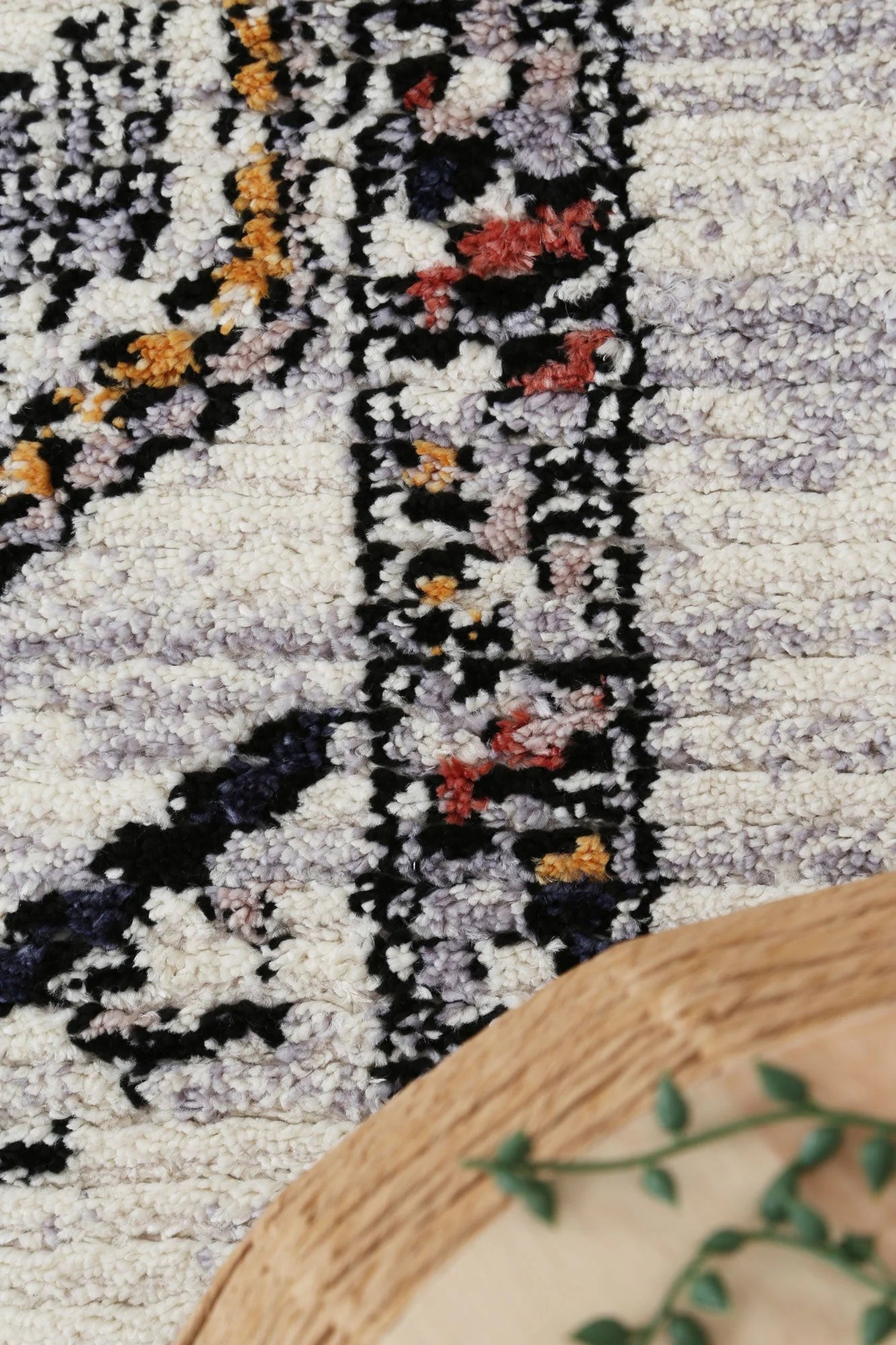 Morocco Tribal Border Multi Rug 290 x 200 cm