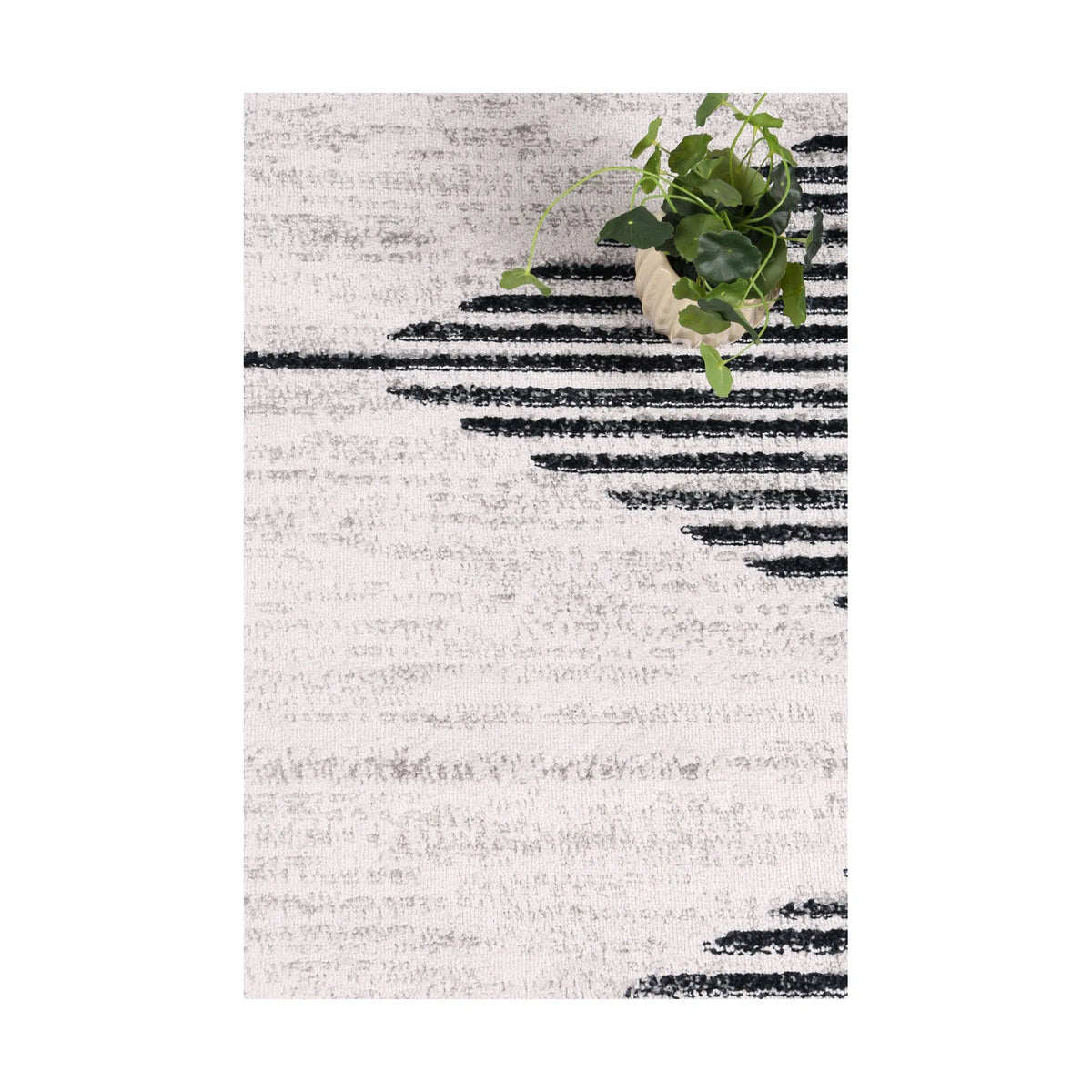 Styled close-up of Kimberley 3 Diamond Charcoal rug showing white field, charcoal diamond lines and textured pile, 230 x 160 cm