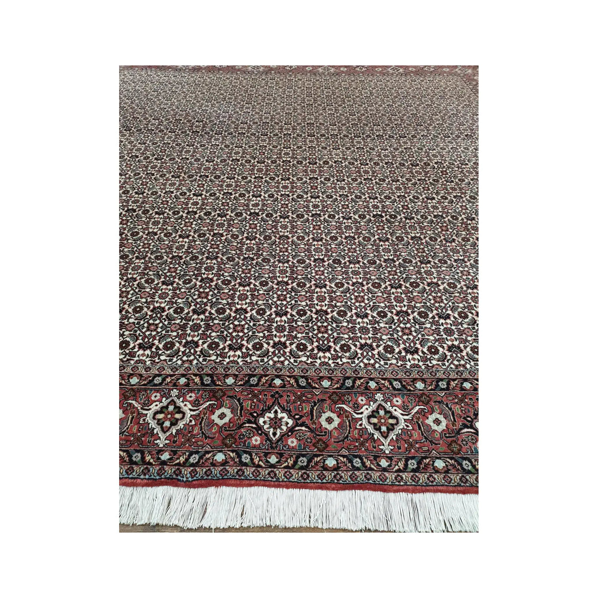 Fringe edge detail of Persian Bidjar wool rug showing dark brown field, border pattern and hand-knotted finish, 257 x 250 cm