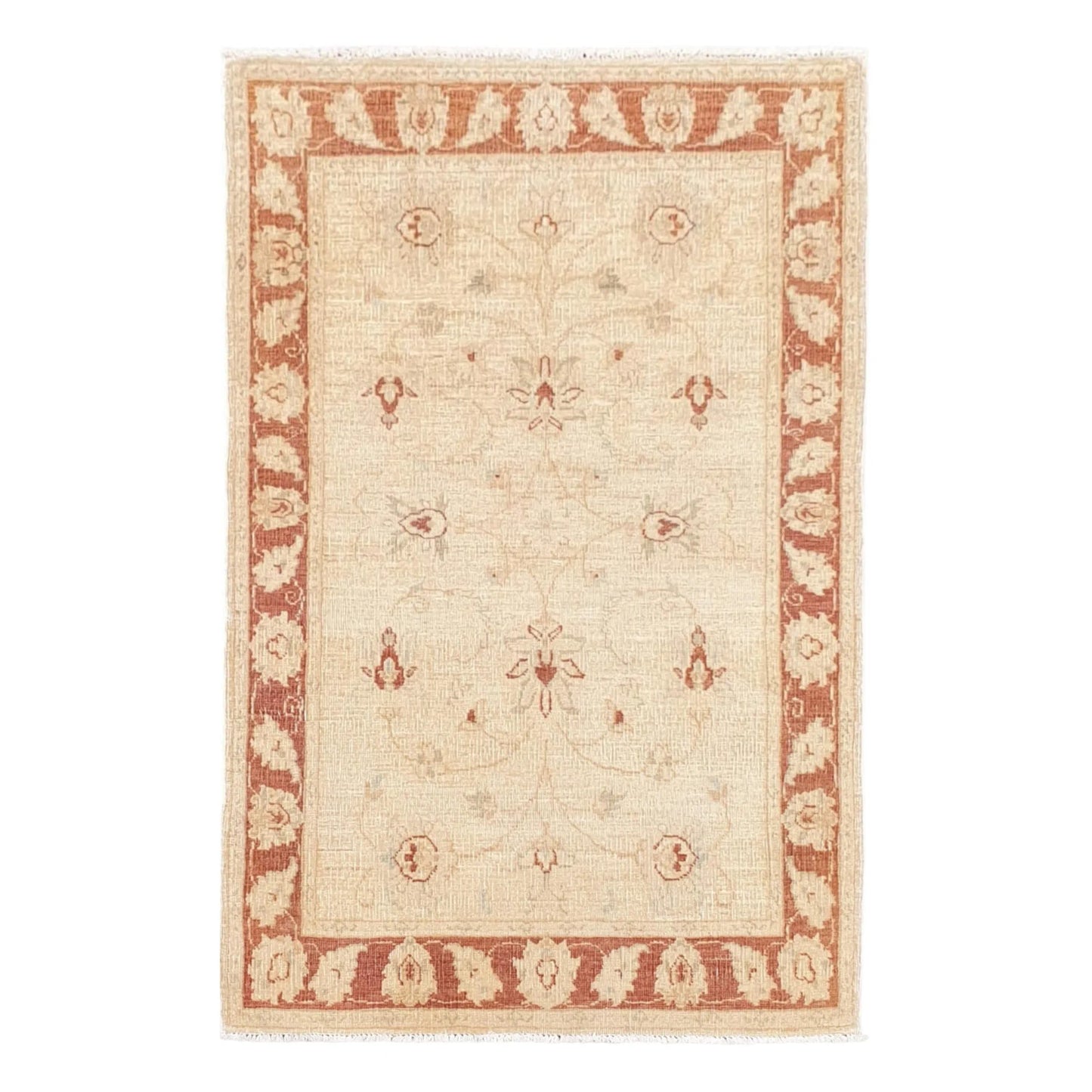 Full view of Afghan Chobi gold floral rug 158 x 102 cm with red border