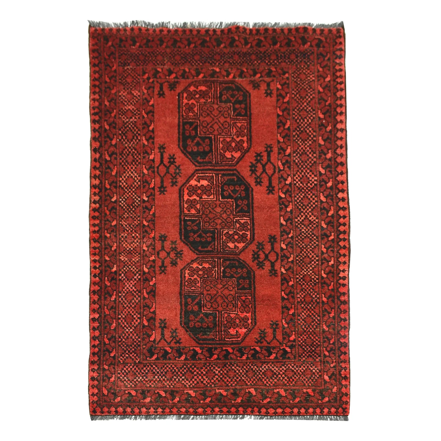 Full straightened view of Afghan Ersari hand-knotted wool rug with red field and three central medallions, 155 x 105 cm