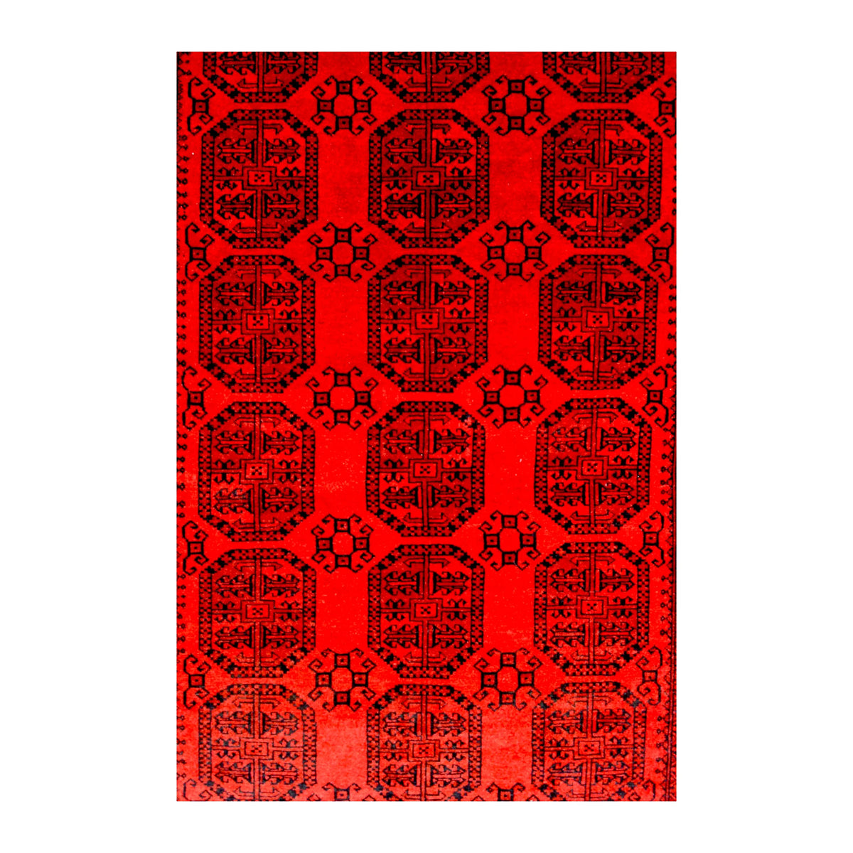Field detail of Afghan Ersari rug showing octagonal guls arranged in columns with small geometric fillers in tonal reds