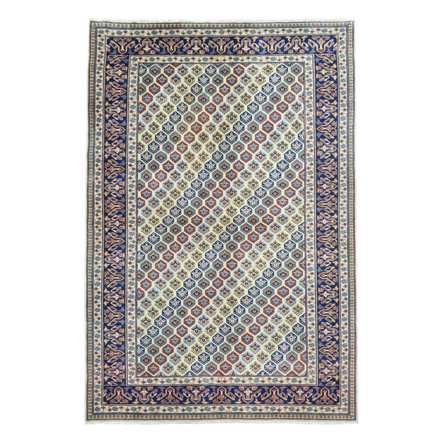Full view of Afghan Shirvan hand-knotted wool rug with beige field, geometric motifs and navy border, 243 x 165 cm