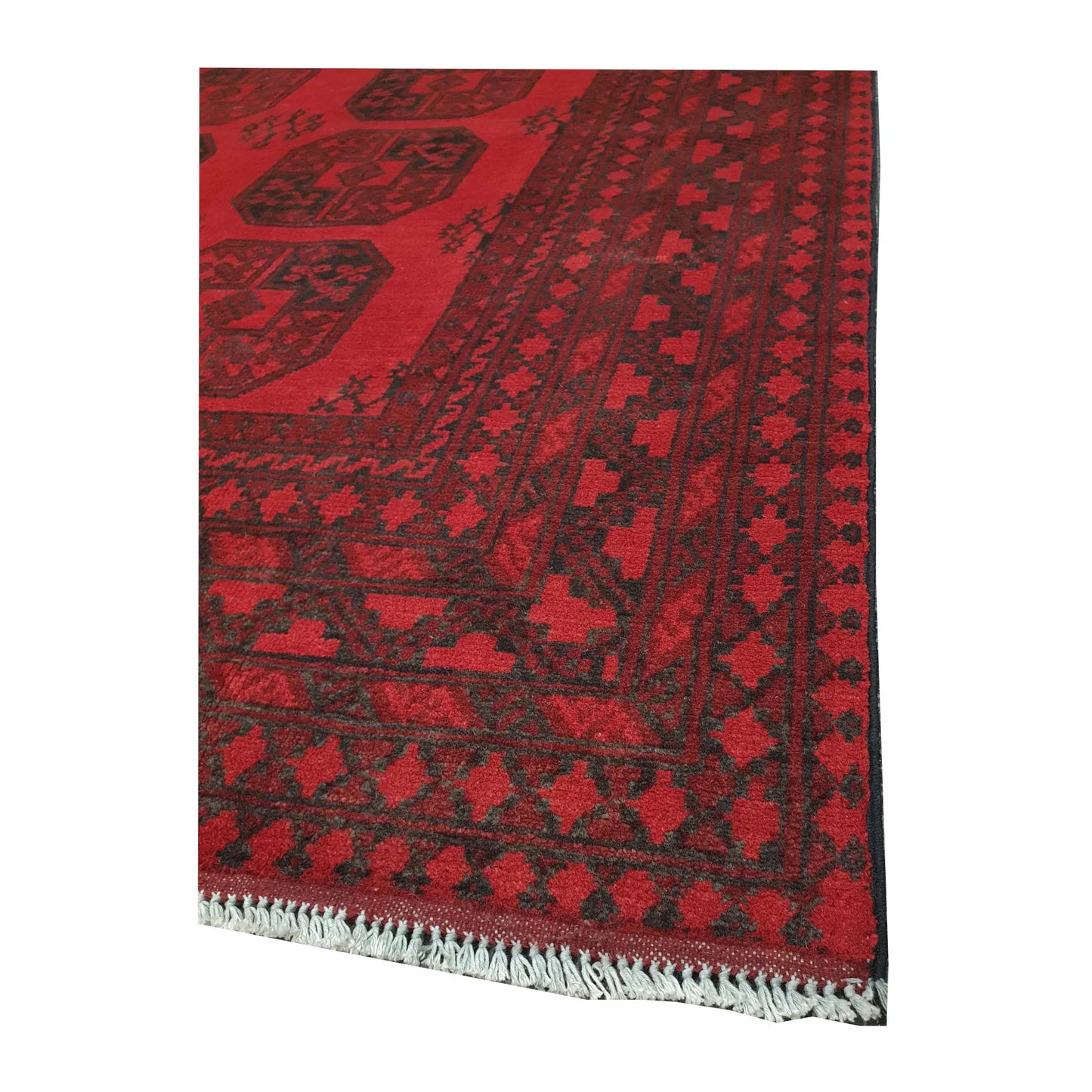 Corner and fringe detail of Afghan Turkoman hand-knotted wool rug with layered geometric border