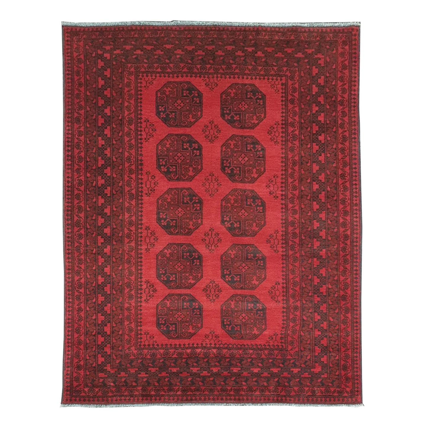 Full view of Afghan Turkoman hand-knotted wool rug with red field, repeating tribal motifs and ivory accents, 240 x 176 cm