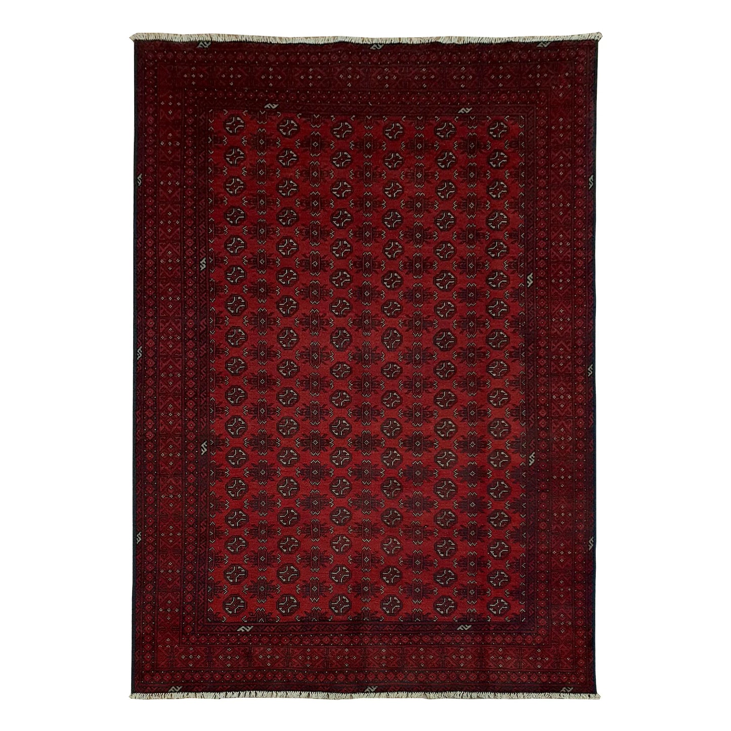 Afghan Turkoman rug 295 x 195 cm full view with deep red gul field, dark border and fringe
