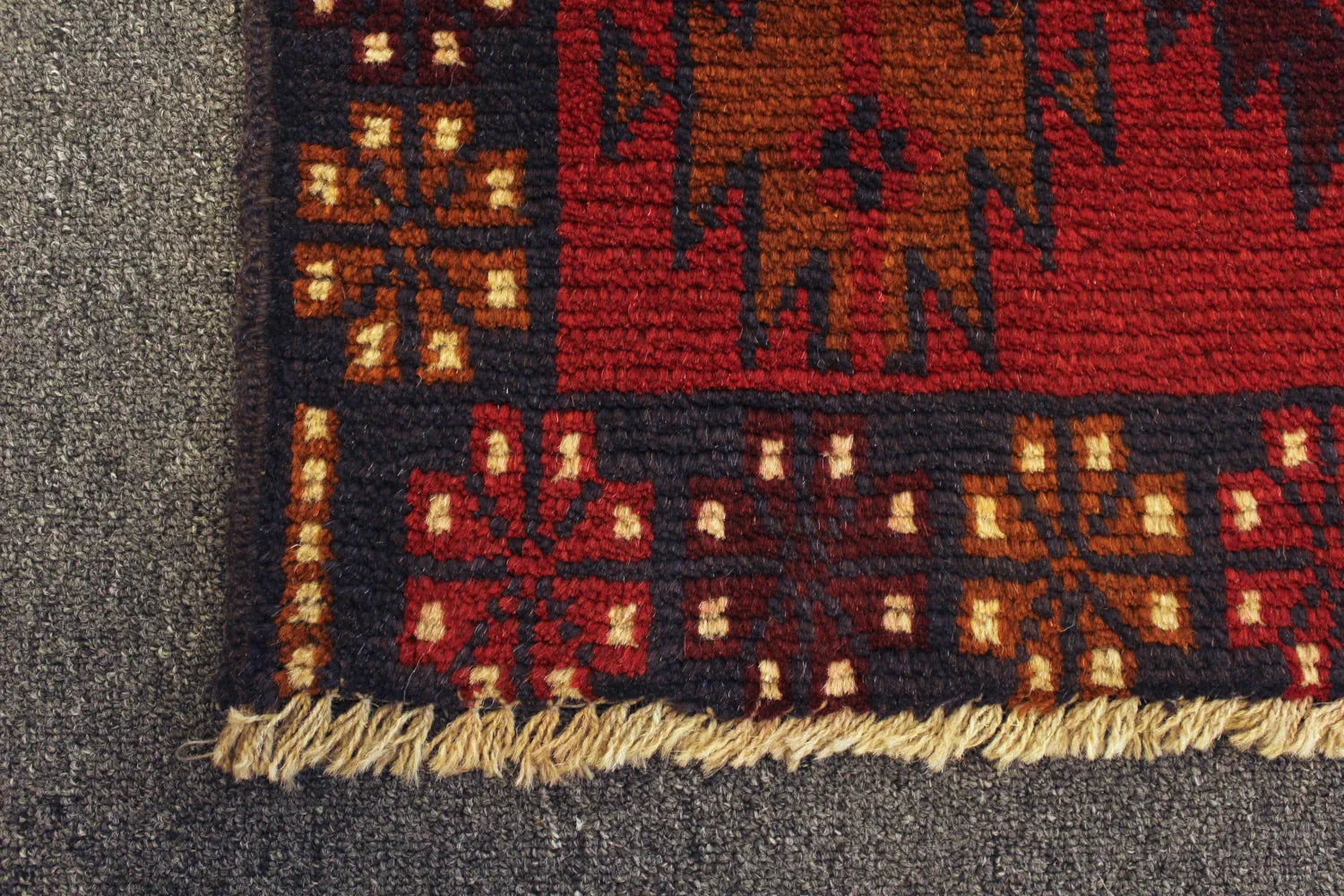 Baluchi rug border and fringe detail