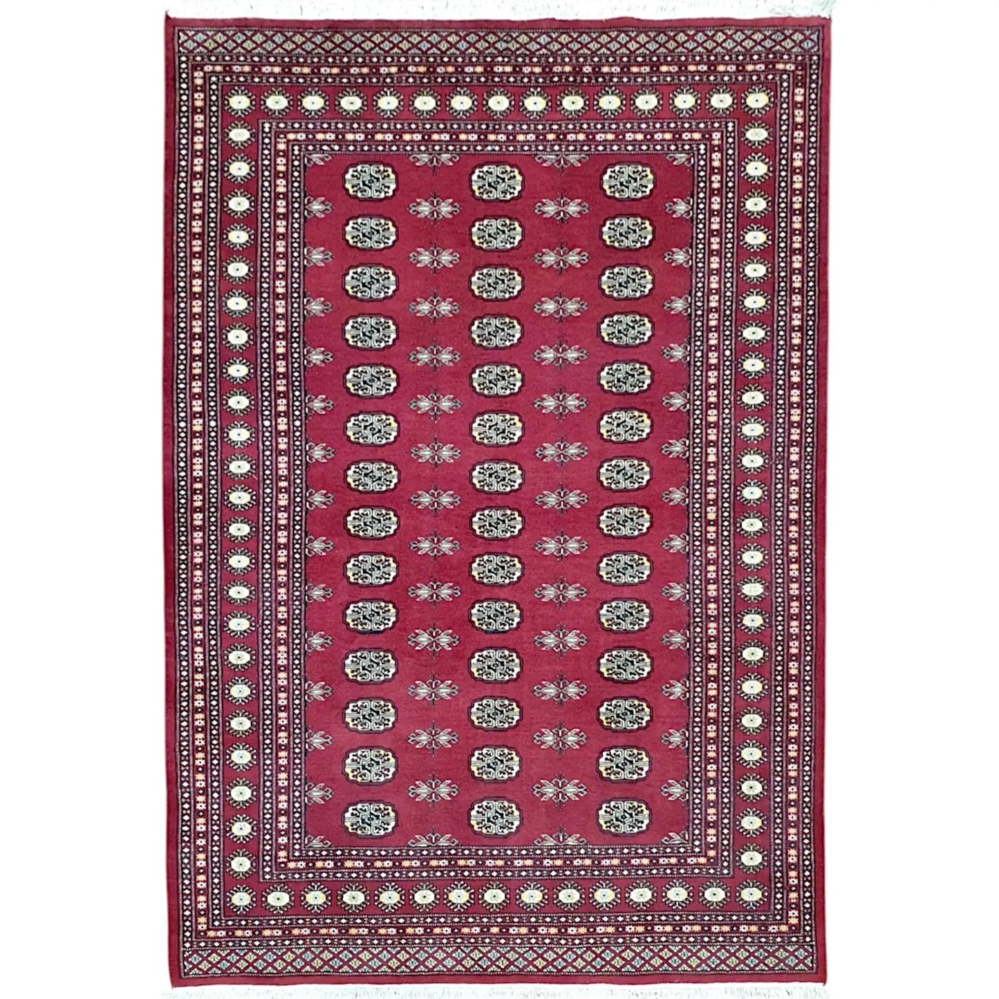 Bokhara hand-knotted wool rug 247 x 173 cm full view