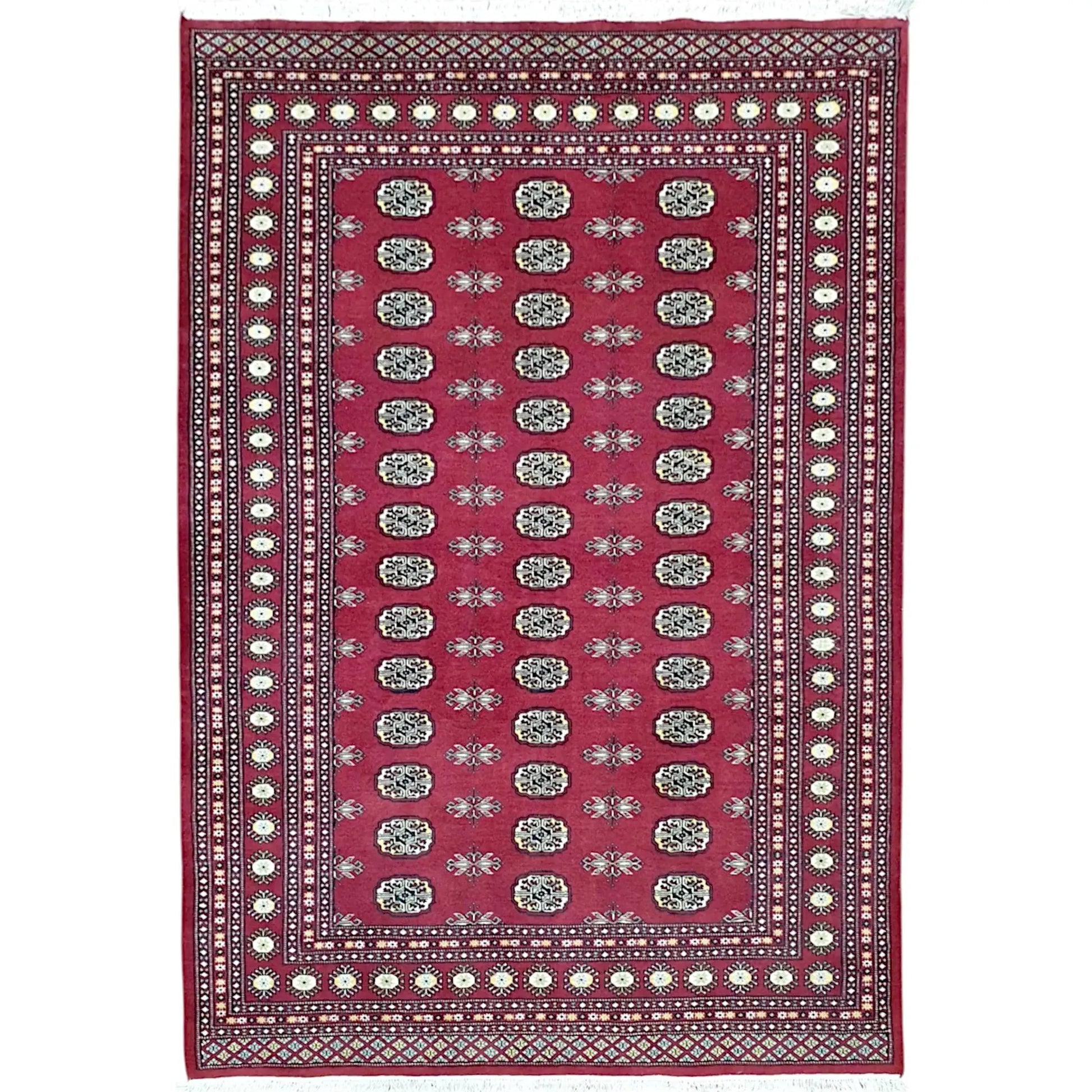 Bokhara hand-knotted wool rug 247 x 173 cm full view