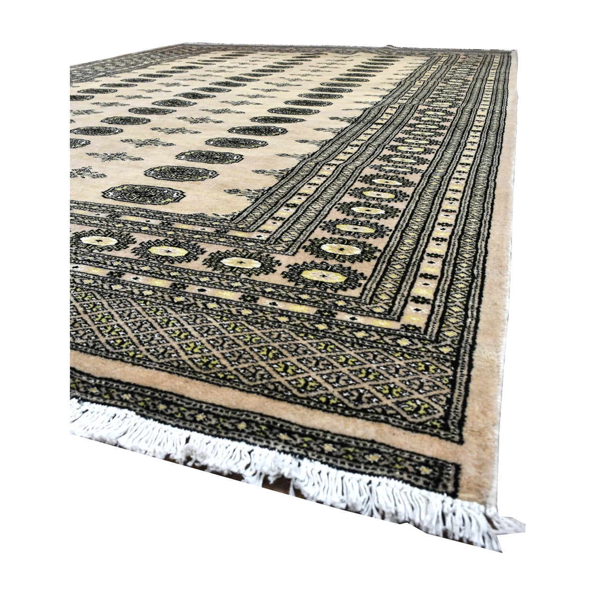 Angled view of Bokhara wool rug showing rows of olive guls across an ivory field, patterned borders and white fringe