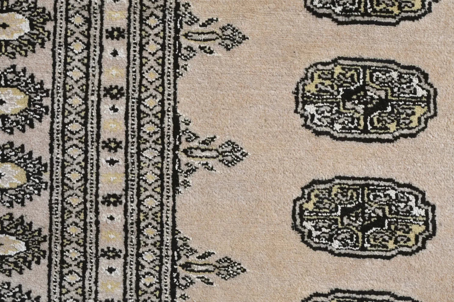 Bokhara hand-knotted wool rug 309 x 203 cm field and border detail