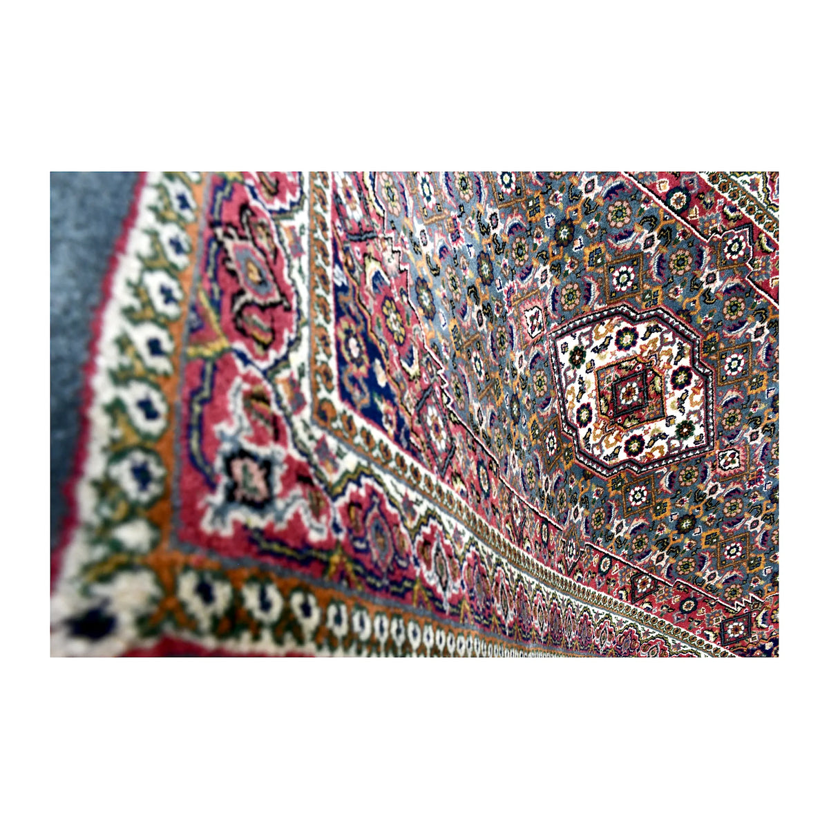 Angled close-up of Fine Bidjar rug showing the red floral border, pale guard bands and ivory medallion beyond
