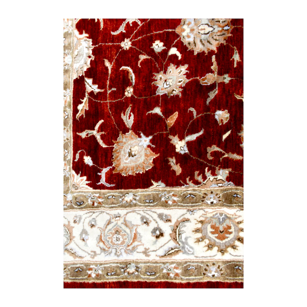 Detail of the Indian Ziegler rug where the red floral field meets its broad ivory botanical border
