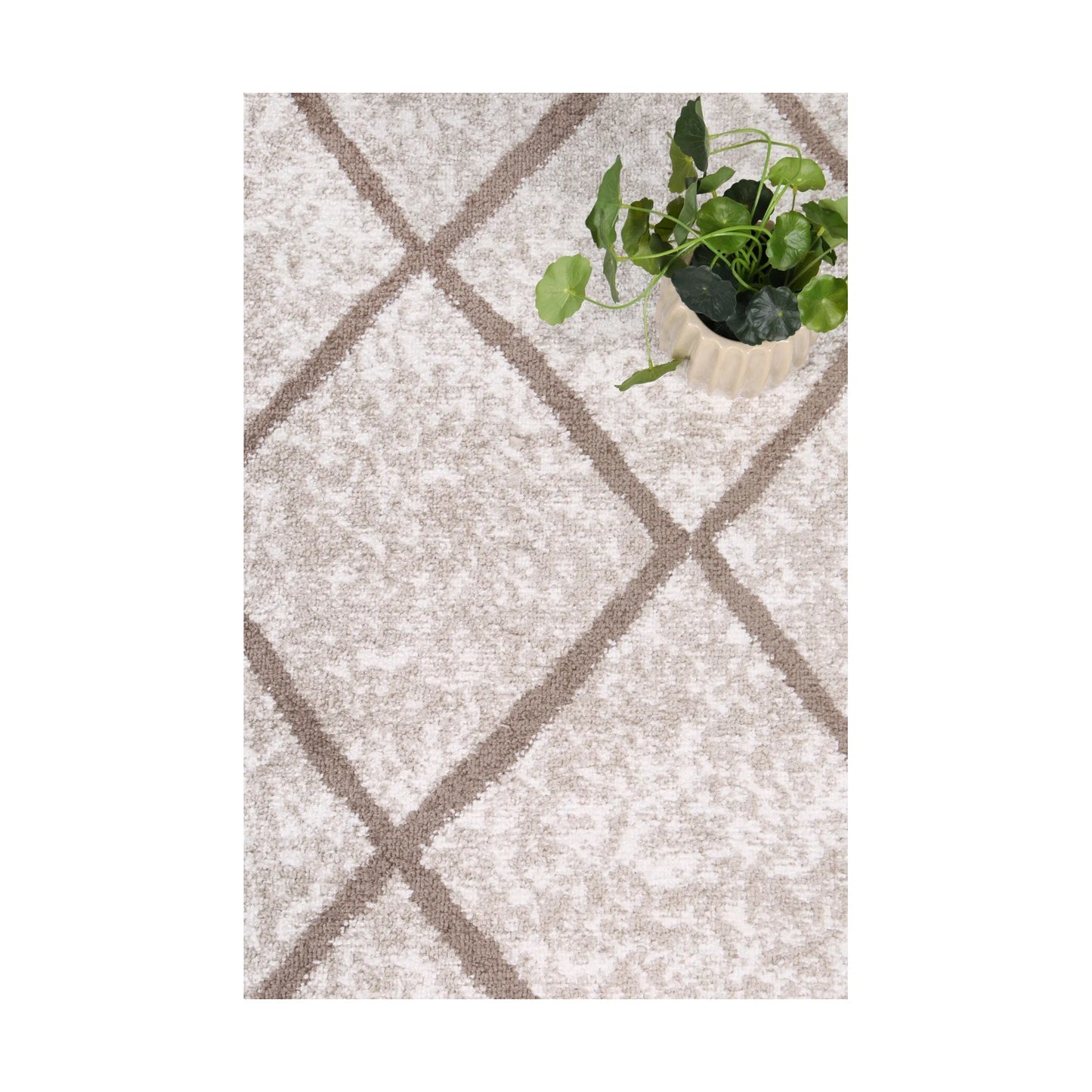 Styled close-up of Kimberley 1 Trellis Latte rug showing textured pile and latte diamond lattice pattern, 230 x 160 cm