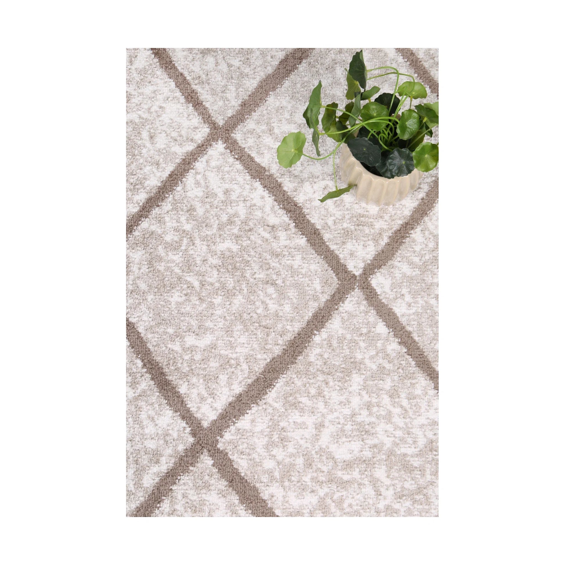 Styled close-up of Kimberley 1 Trellis Latte rug showing textured pile and latte diamond lattice pattern, 230 x 160 cm