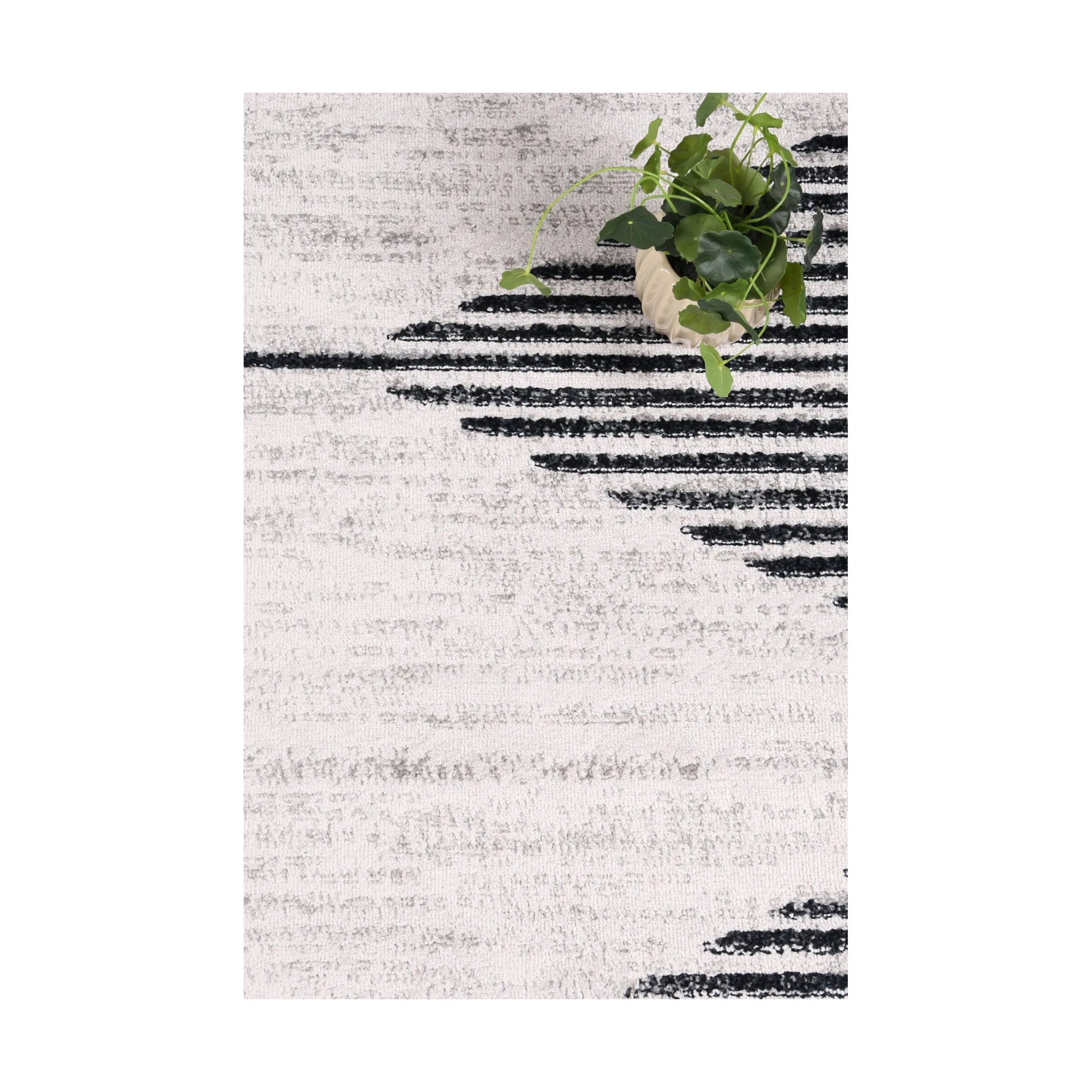 Styled close-up of Kimberley 3 Diamond Charcoal rug showing white field, charcoal diamond lines and textured pile, 230 x 160 cm