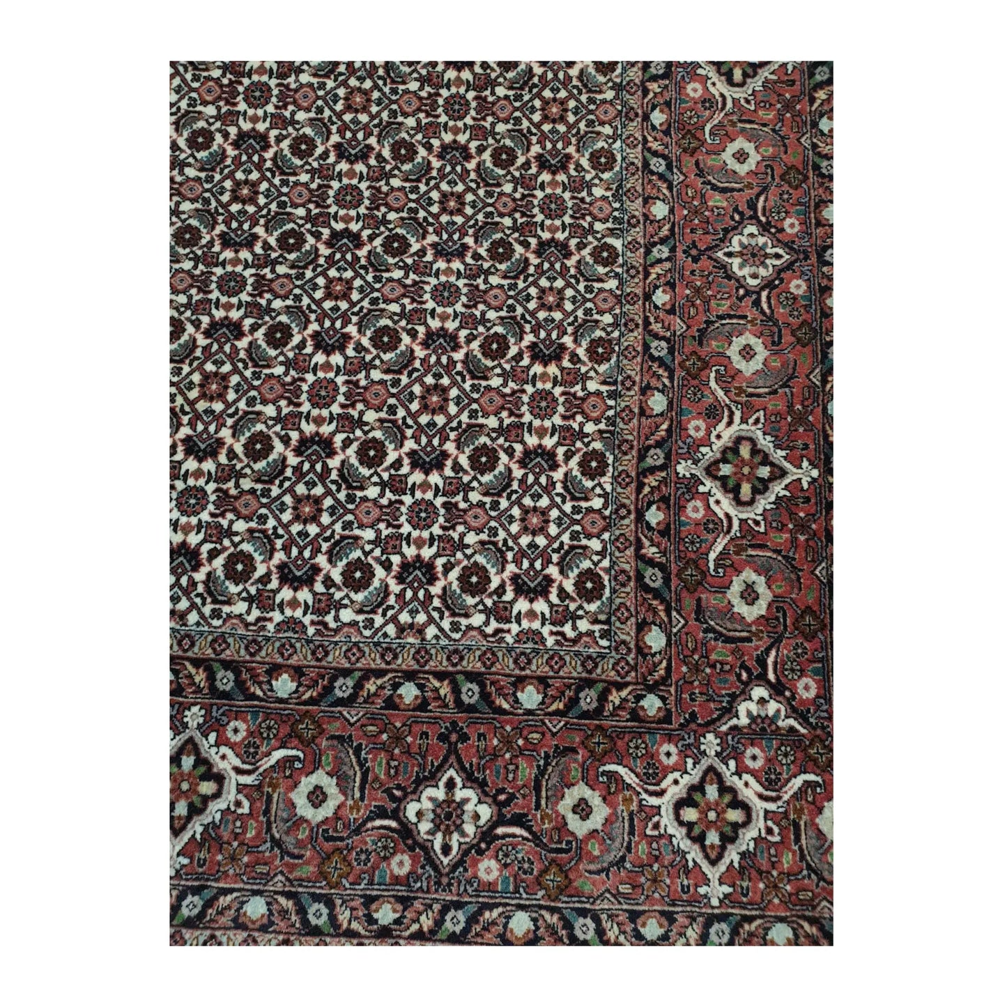 Detail of Persian Bidjar hand-knotted wool rug showing repeating field pattern and red border design, 257 x 250 cm