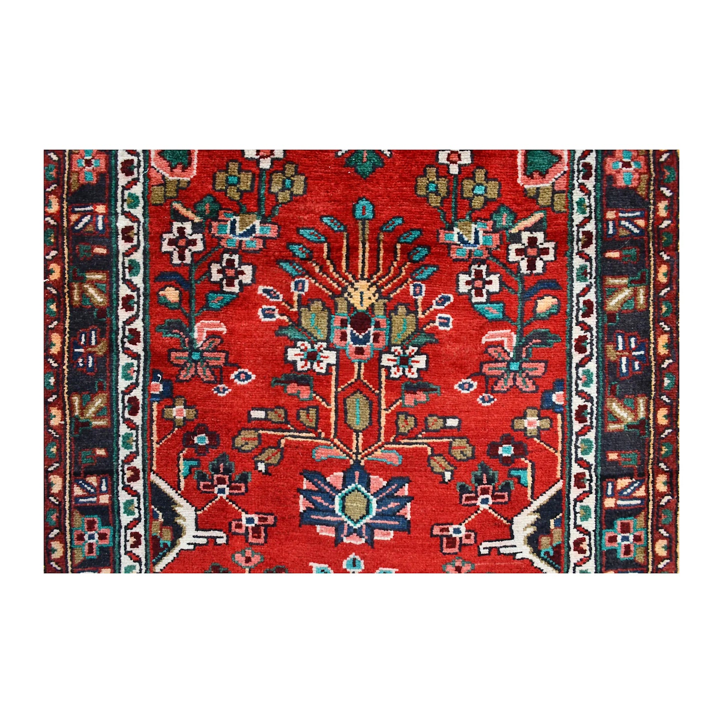 Field close-up of Persian Hamadan runner showing an angular flowering stem and small multicoloured blossoms