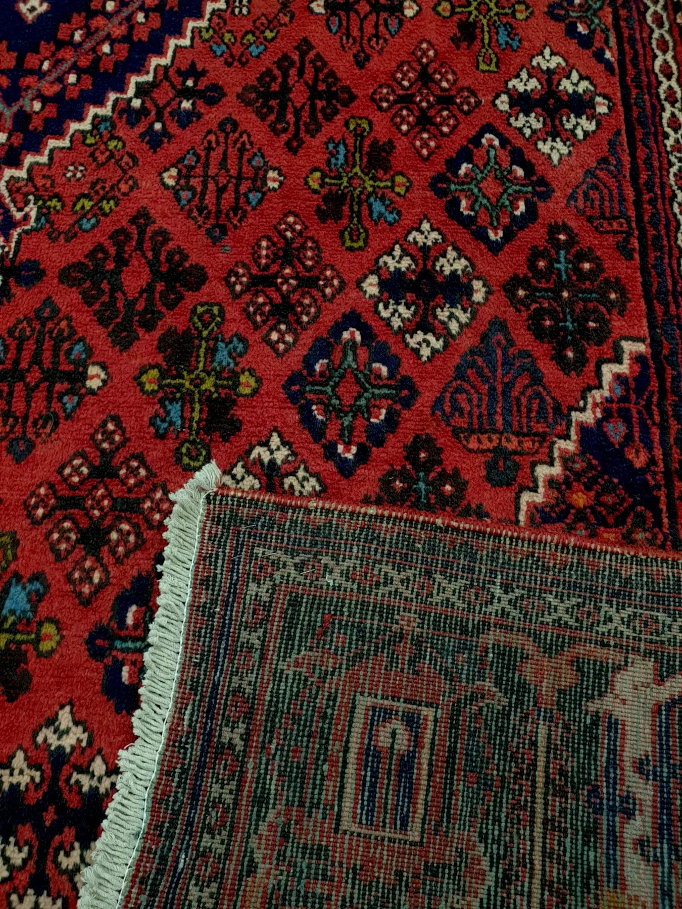 Border detail of Persian Meimeh rug 300 x 210 cm