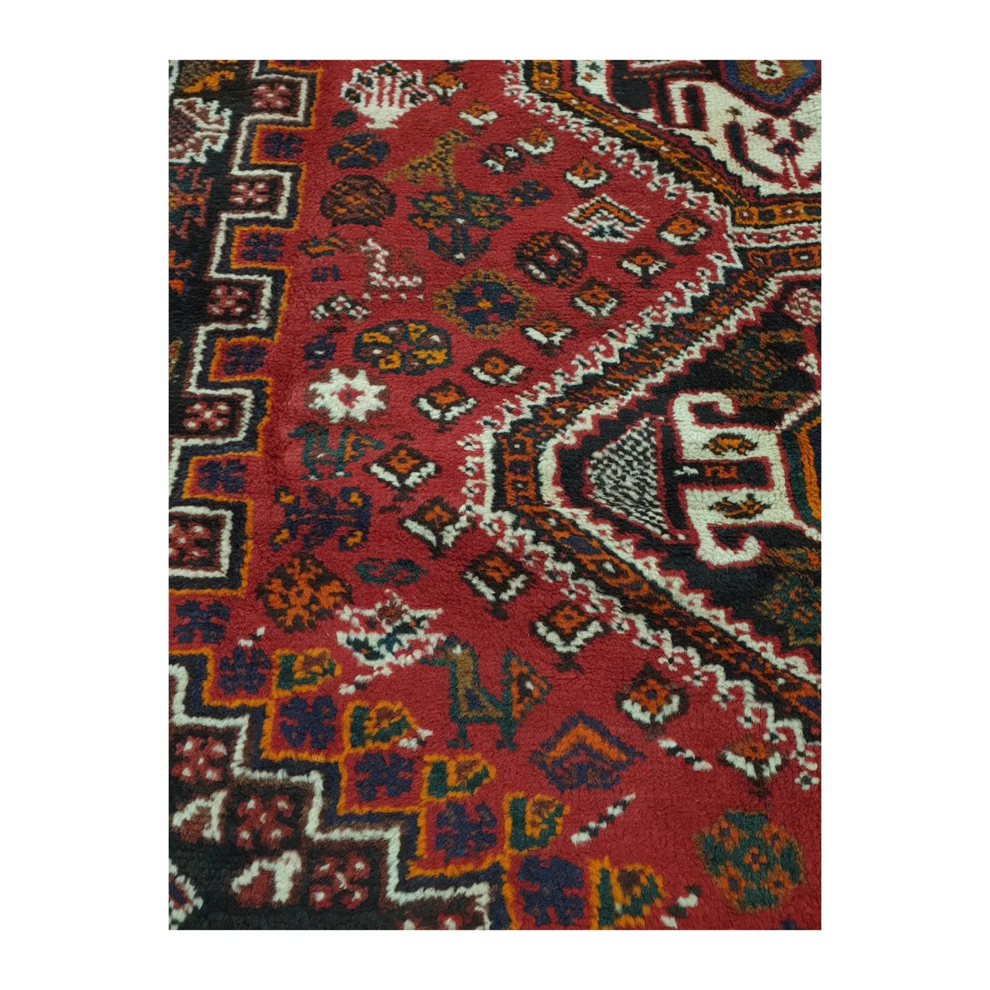 Close-up of Persian Shiraz rug showing a geometric medallion edge, red field motifs and stepped side border