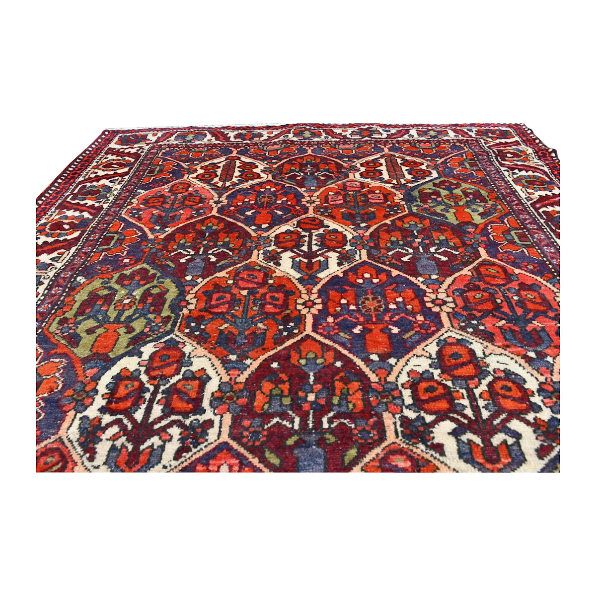 Low angled view of Bakhtiari rug showing rows of flowering motifs across its pointed garden compartments