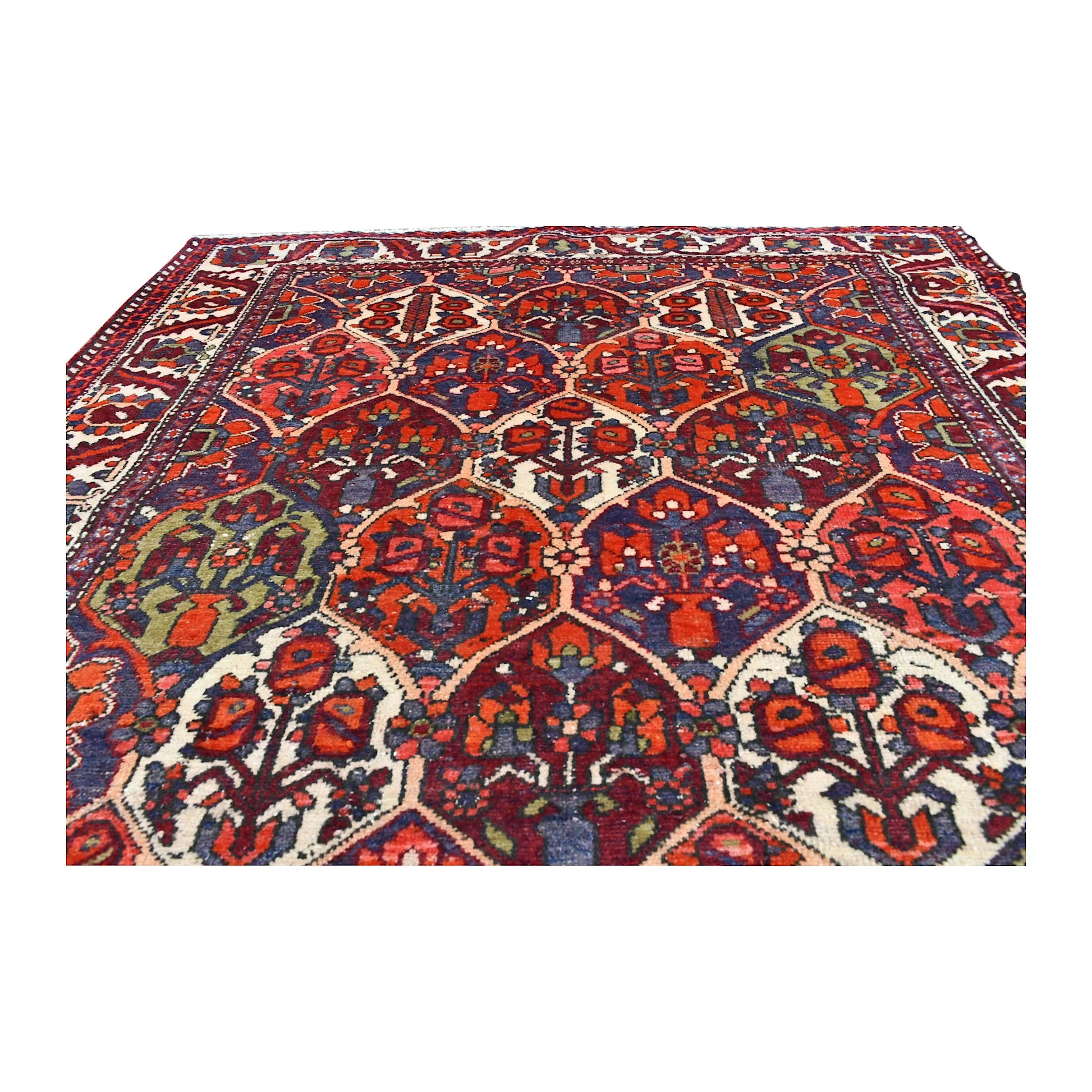 Low angled view of Bakhtiari rug showing rows of flowering motifs across its pointed garden compartments